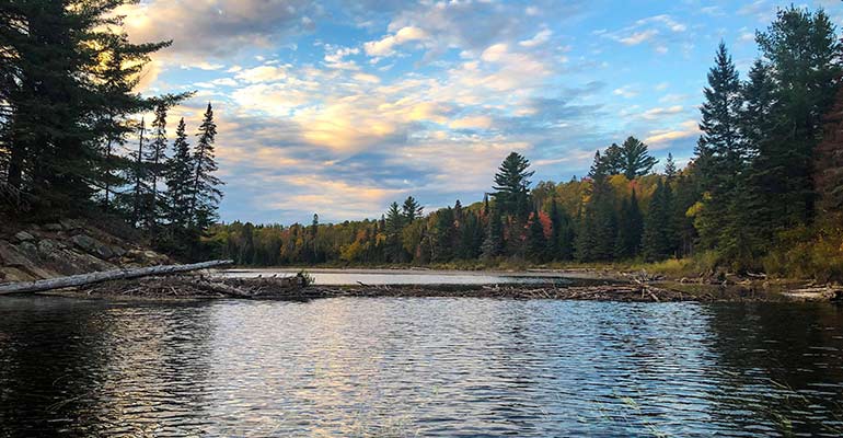 Beaver dam Algonquin park