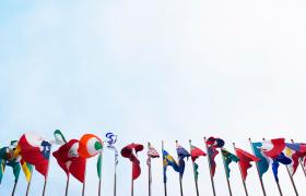 Image of many flags