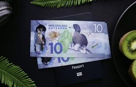 Kiwi Dollar